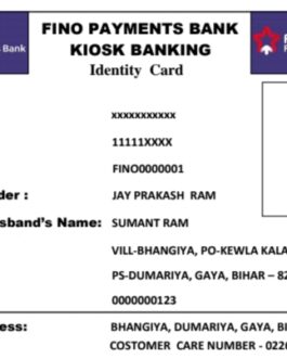 Fino Payment Bank Passbook PDF & Docs