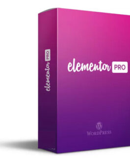 Elementor Pro – Plugin For WordPress