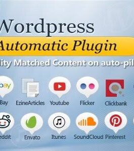 WordPress automatic plugin